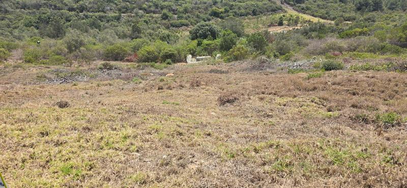 0 Bedroom Property for Sale in Groot Brakrivier Central Western Cape